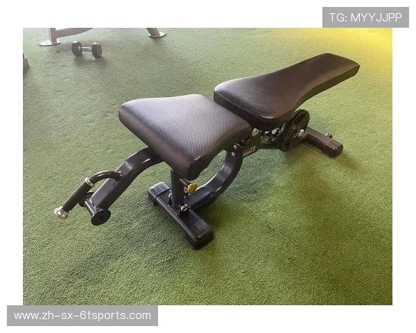 高性价比腿举健身器材价格及购买指南